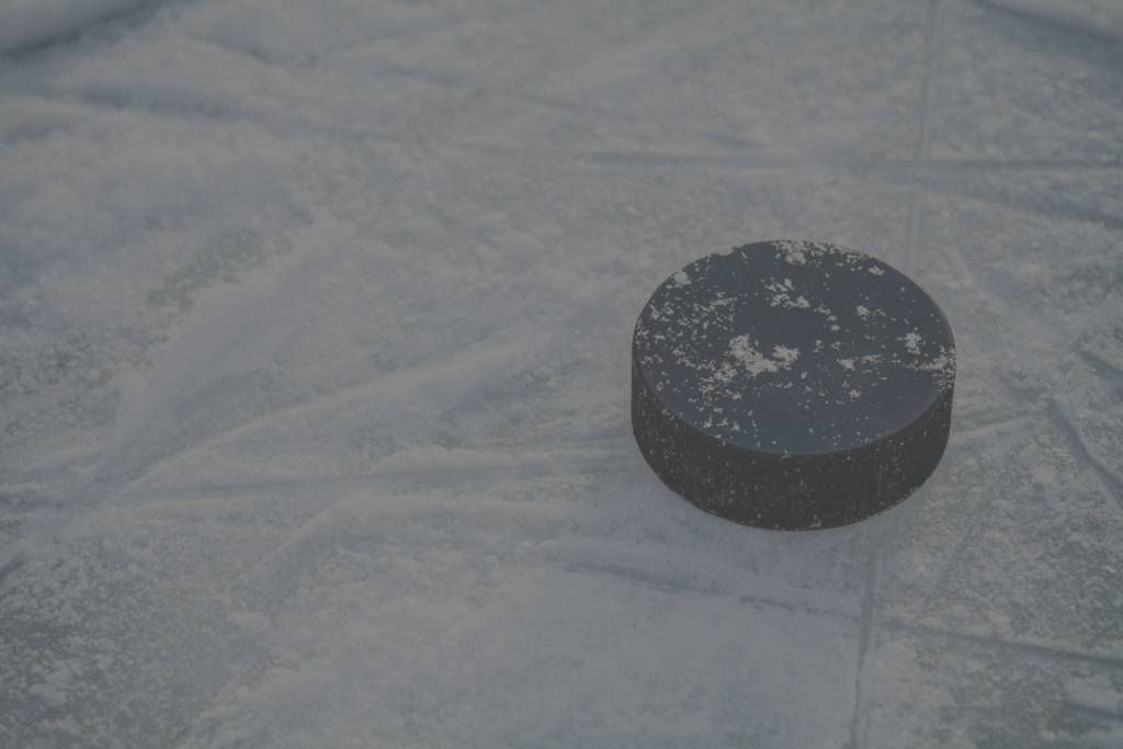 Docs On Ice
