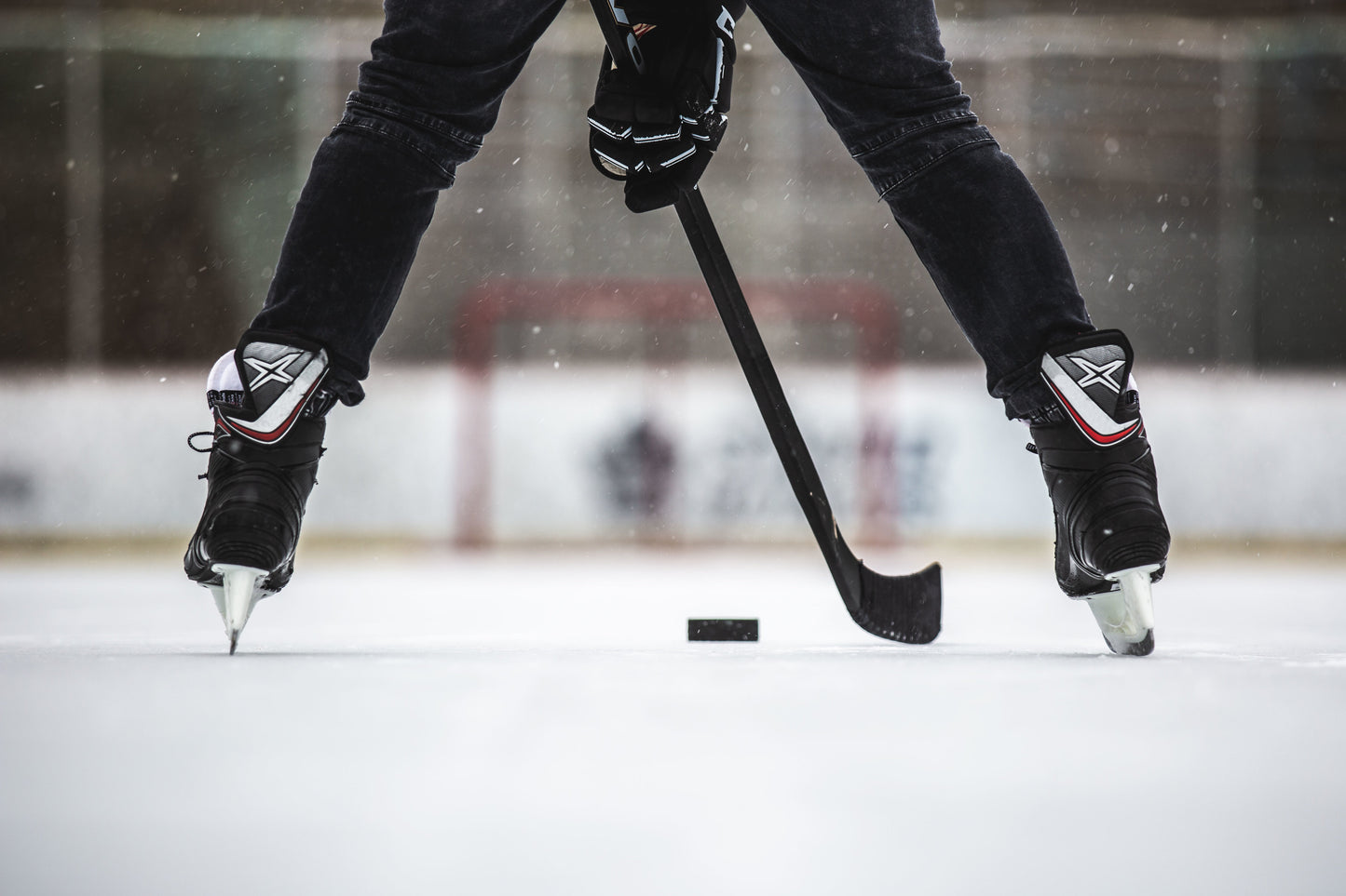 Docs On Ice